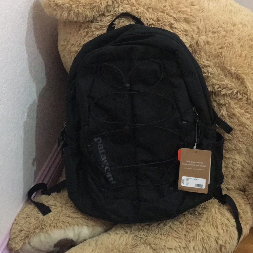 Patagonia backpack